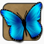 Live Butterflies