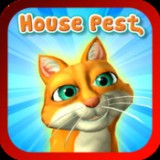 House Pest starring Fiasco the Cat