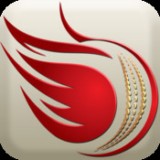 WorldCup Cricket Fever