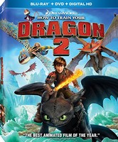 How to Train your Dragon 2