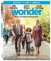 Wonder