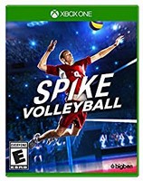 Spike Volleyball