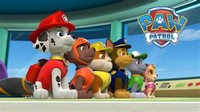 PAW Patrol Line Look